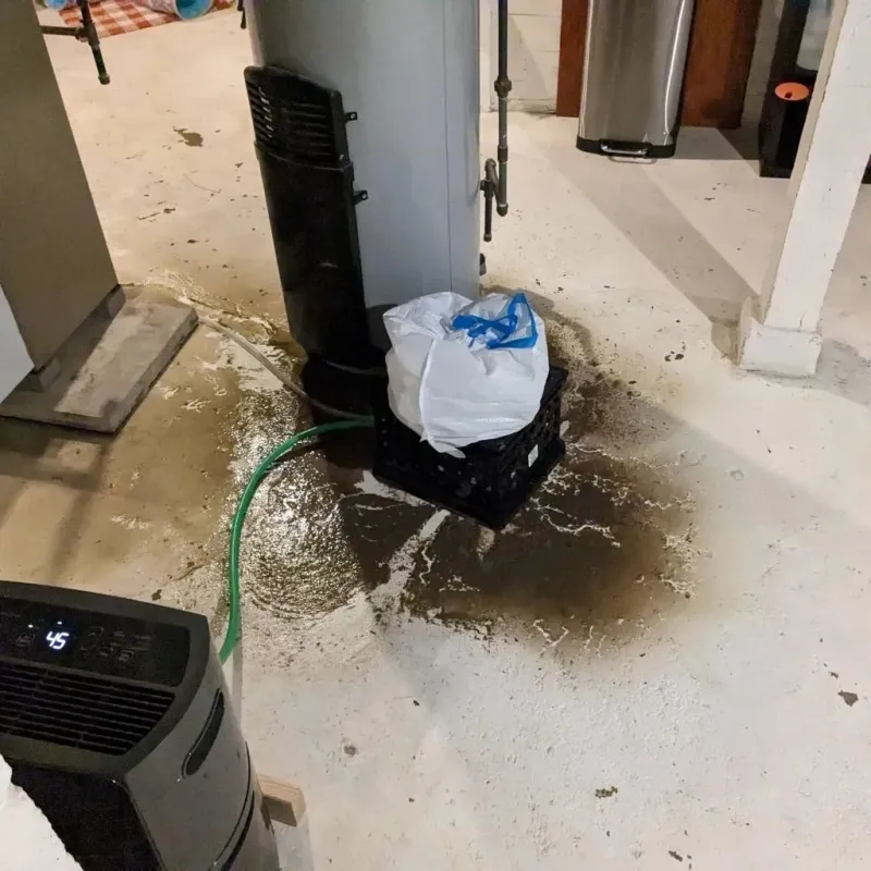 Sewage Backup Cleanup Service in West Ferriday, LA
